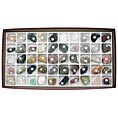 deluxe rocks & minerals collection