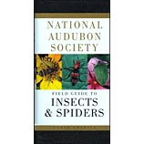 Audubon insects field guide