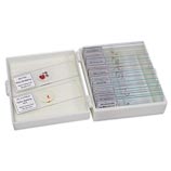 microscope slides