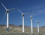 a wind farm