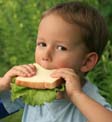 Boy eating a sandwich