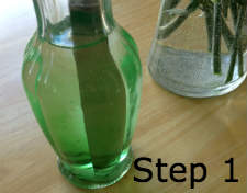transpiration to dye flowers