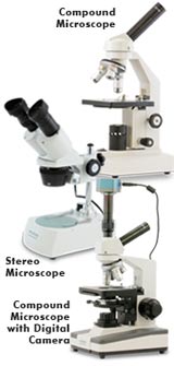 Types Of Microscopes Comparison Chart