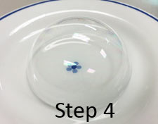 Carefully blow a bubble and slide it on the plate