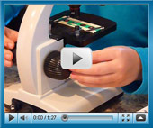 learn how to choose a microscope for kids