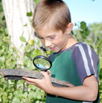 see things up close on a nature hunt