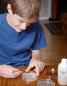 bacteria tests are popular science fair projects