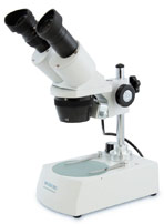 stereo microscope