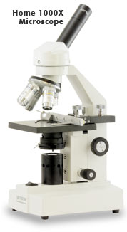 how to choose a microscope compound 