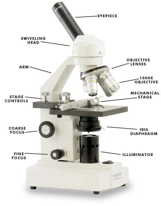 microscope diaphragm iris