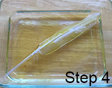 feather soaked in oil