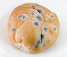胚芽实验面包