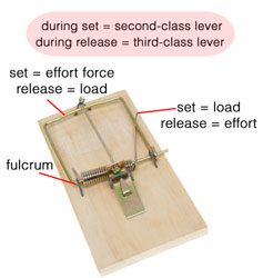 the levers of a mousetrap