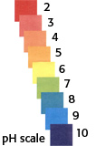 acids and bases pH scale