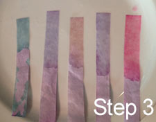 Ph Test Strips From Red Cabbage Juice