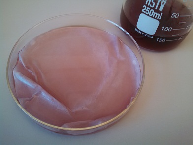 Saturate the filter paper