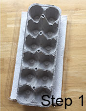 egg carton