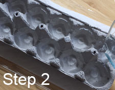 pour water in egg carton