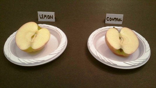 Lemon Juice On Apples Experiment Hst Learning Center