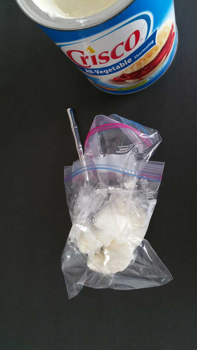Whale Blubber Experiment Hst Life Science Project