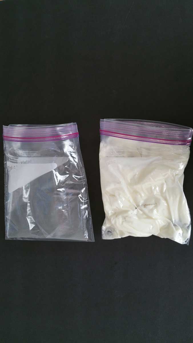 Whale Blubber Experiment