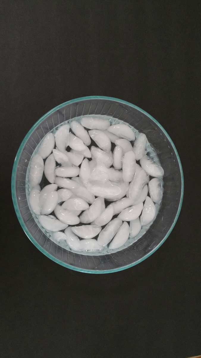 Whale Blubber Experiment HST Life Science Project