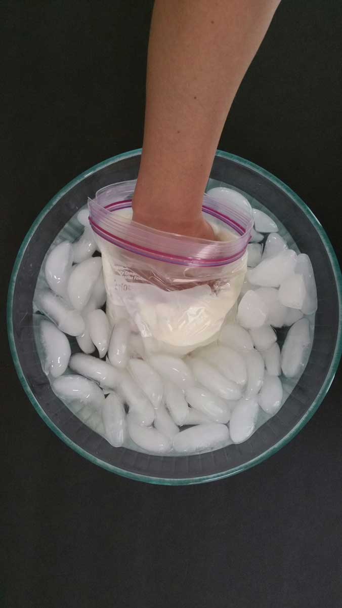 Whale Blubber Experiment | HST Life Science Project