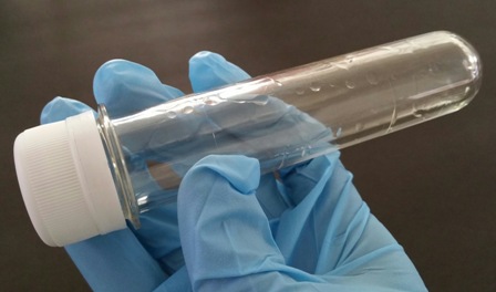 How To Extract Dna At Home Kids Science Fair Project