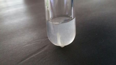 dna extraction from human cheek cells