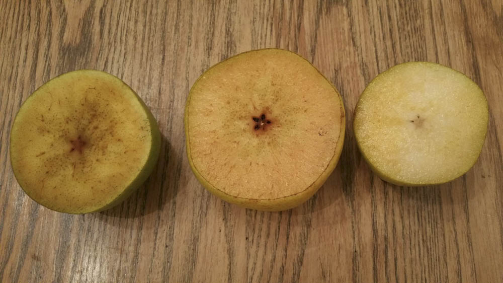 Ripen Fruit With Ethylene Chemistry Science Project