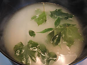 how to make skeleton leaves step one