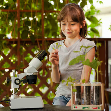 Home School Biology