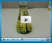 click to watch video