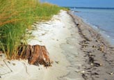 Layers of the Shoreline