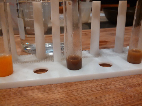 Benedict's solution after heat application shows color change.
